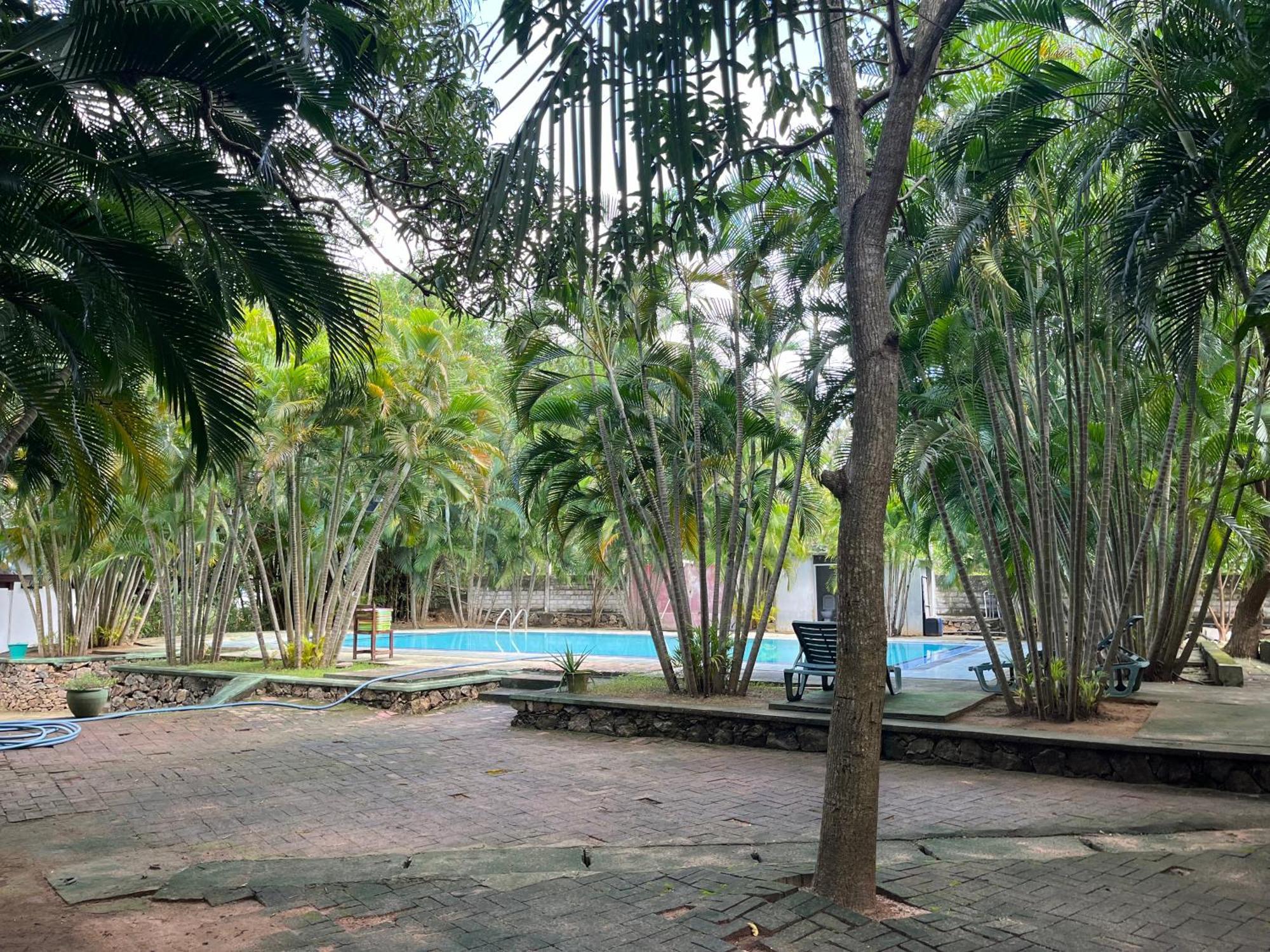 Royal Green Garden - Puttalam Kültér fotó